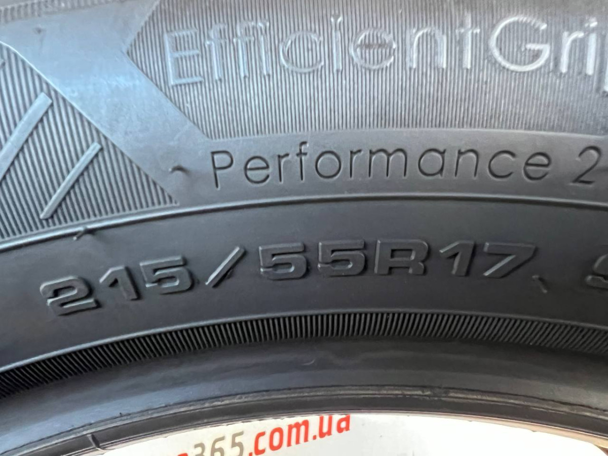 215/55 R17 GOODYEAR EFFICIENTGRIP PERFORMANCE 2 6mm