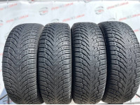 225/65 R17 NOKIAN WR SUV4 5mm