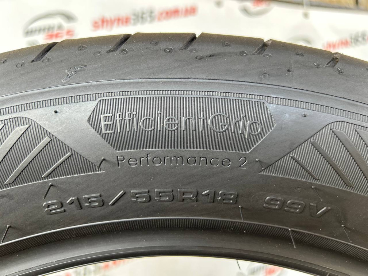 215/55 R18 GOODYEAR EFFICIENTGRIP PERFORMANCE 2 7mm